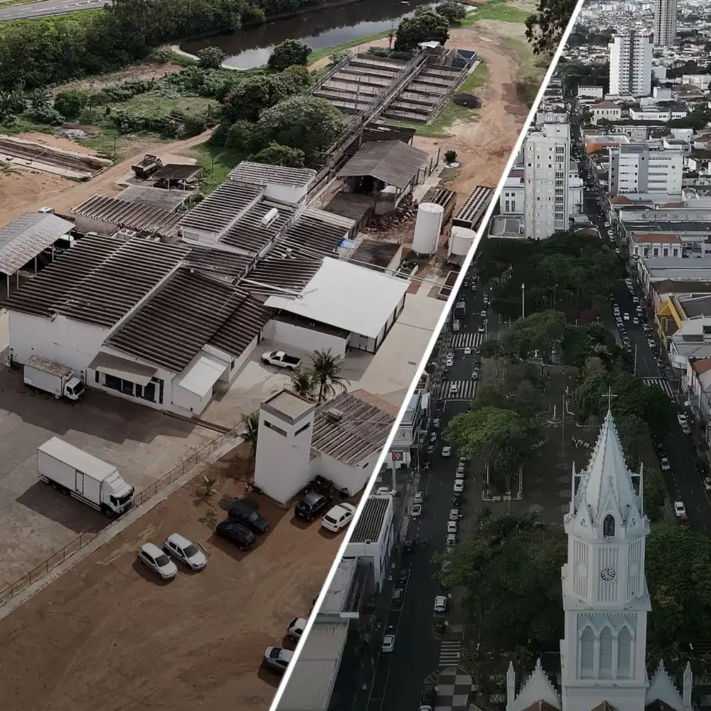 Franca Boi - 25 anos de história