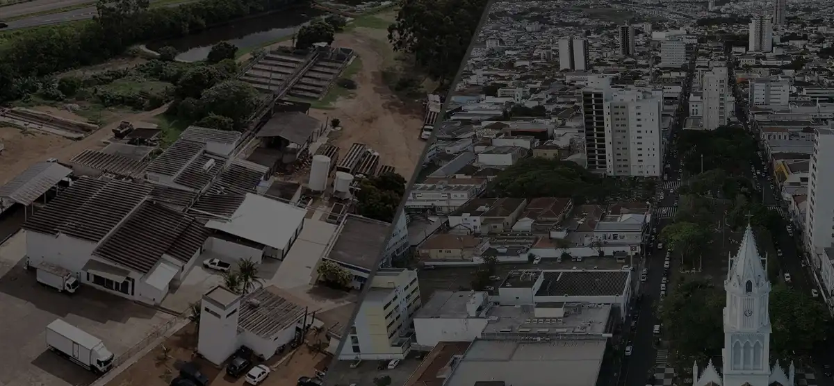 Franca Boi - 25 anos de história